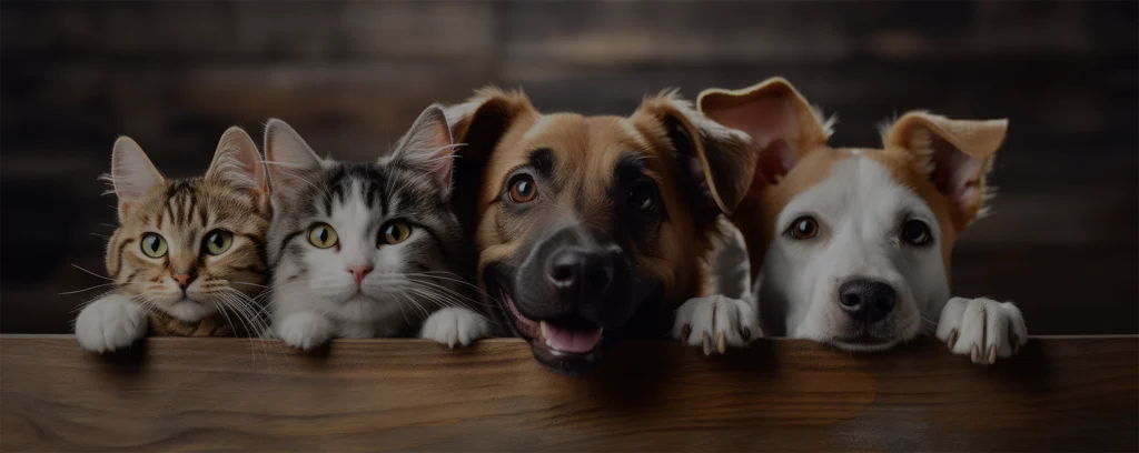 Cats and dogs peeking over a fence—perfect for pet food packaging like resealable pouches and high-barrier bags.