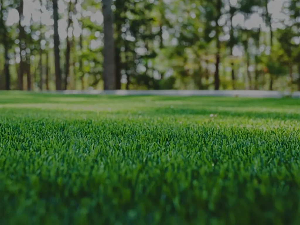 Lush green grass with a blurred forest background—ideal for lawn care packaging, seed pouches, and eco-friendly bags.”